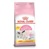 Сухой корм Royal Canin Mother & Babycat для котят до 4 мес. и для кошек в период беременности