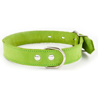 Ошейник 1122С COLOR LINE 2сл 14 мм нубук длина 27-36 см салатовый