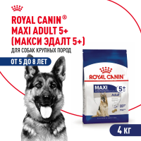 Сухой корм ROYAL CANIN MAXI ADULT 5+ для собак крупных пород старше 5 лет 4 кг