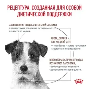 Royal Canin Gastrointestinal Low Fat Small Dog Сухой ветеринарный корм для мелких собак, 3 кг