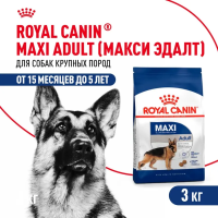 Сухой корм Royal Canin Maxi Adult для собак крупных пород старше 15 месяцев  3 кг