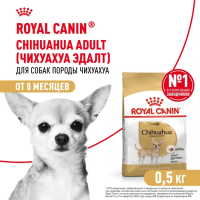 Royal Canin CHIHUAHUA ADULT Сухой корм для взрослых собак породы Чихуахуа, 500 г