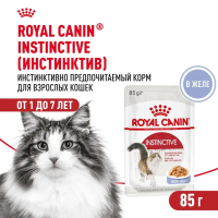 Royal Canin Instinctive Консервированный корм для кошек, кусочки в желе, 85 г