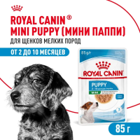 Влажный корм Royal Canin для щенков минипород в соусе 85 г.