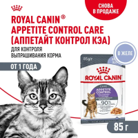 Влажный корм Royal Canin Appetite Control Care для кошек, контроль выпрашивания корма в желе, 85гр