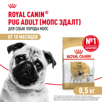 Сухой корм для собак Royal Canin породы Мопс 500 г