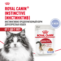 Влажный корм Royal Canin Instinctive для кошек, кусочки в желе (28 паучей по 85 гр)