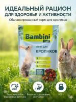 Корм Bambini Pets для кроликов, 800 г