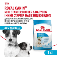 Сухой корм Royal Canin Mini Starter Mother & Babydog для щенков и беременных мелких пород 1 кг