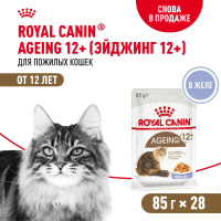 Royal Canin Ageing 12+ Консервированный корм для кошек старше 12 лет, в желе 28x85г.