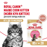 Влажный корм Royal Canin Maine Coon Kitten, корм для котят породы мейн-кун в соусе, 28*85 г