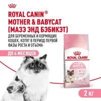 Royal Canin Mother&Babycat Сухой корм для котят, беременных и лактирующих кошек, 2 кг