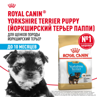 Royal Canin Puppy Yorkshire Terrier Сухой корм для щенков (до 10 мес.) породы Йоркширский терьер, 500 г