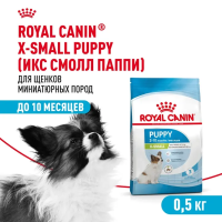 ID61977__Royal Canin X-SMALL JUNIOR Сухой корм для щенков мелких пород (2-10 мес/до 4кг), 0,5 кг