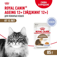 Royal Canin Ageing 12+ Консервированный корм для кошек старше 12 лет, кусочки в желе  85 г