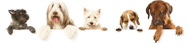 Консультация в подборе товара