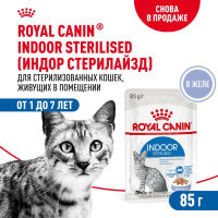 Royal Canin Indoor Sterilised Консервированный корм для домашних кошек, желе, 85 г