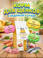 Сухой корм Брит Care Dog Puppy&Junior M Healthy Growth, для щенков Индейка и Утка, 1,5 кг