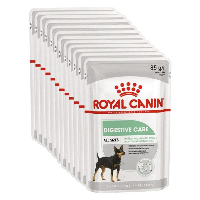 Корм для собак digestive. Корм Royal Canin Digestive Care. Корм для собак Роял Канин Digestive Care. Роял Канин дигестив для собак. Влажный корм для собак с чувствительным пищеварением Роял Канин.