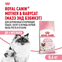 Royal Canin Mother&Babycat Сухой корм для котят и беременных и кормящих кошек, 400 г