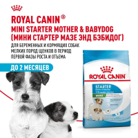 Сухой корм Royal Canin Mini Starter Mother & Babydog сухой корм для щенков мелких пород - 3 кг