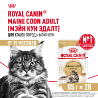 Влажный корм Royal Canin Maine Coon Adult для взрослых кошек породы Мэйн Кун в соусе 28*85 г