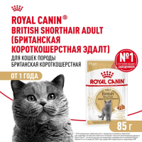 Royal Canin British Shorthair Консервированный корм для взрослых кошек породы Британская короткошерстная, 85 г