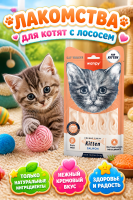 Лакомство для котят «нежное пюре» из лосося 70 г Wanpy Cat 