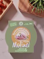 Влажный корм MOLINA, ламистер для котят. Цыпленок в желе, 12х75 г