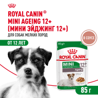 Влажный корм  Royal Canin Mini Ageing 12+, для собак  мелких пород 12+ в  соусе, 85г