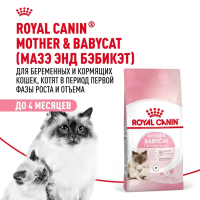 Сухой корм Royal Canin Mother & Babycat для котят до 4 мес. и для кошек в период беременности