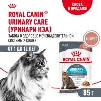 Влажный корм ROYAL CANIN Urinary Care для взрослых кошек при мочекаменной болезни в соусе пауч 85 г