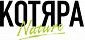 Котяра