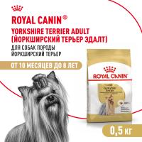 Royal Canin Adult Yorkshire Terrier Сухой корм для взрослых собак породы Йоркширский терьер, 500 г