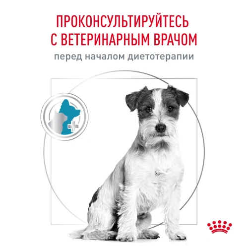 Сухой корм Royal Canin Hypoallergenic Small Dog для собак мелких пород при пищевой аллергии 1кг