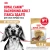 Сухой корм Royal Canin для взрослых собак породы Такса 1,5 кг