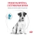 Сухой корм Royal Canin Hypoallergenic Small Dog для собак мелких пород при пищевой аллергии 1кг