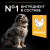 Purina Pro Plan Dog Medium Puppy Корм сухой для щенков средних пород, с курицей, 3 кг