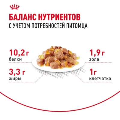 Влажный корм Royal Canin Indoor Sterilised 7+ для кошек в желе 85г