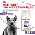 Royal Canin Sterilised 7+ Сухой корм для пожилых стерилизованных кошек 7-12 лет, 400 г