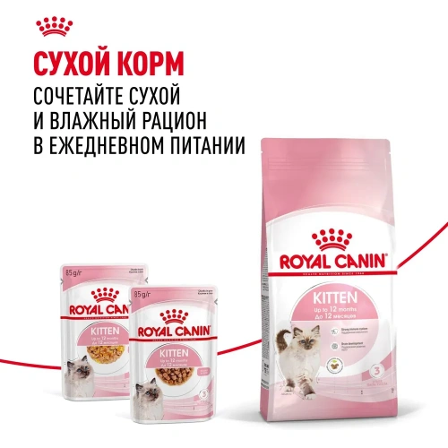 Влажный корм Royal Canin для котят ( 5 в соусе 5 в желе) 10*85г