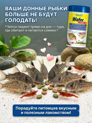 Корм для всех мелких донных рыб в мини-чипсах 100 мл. TetraMin WaferMix 