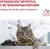 Сухой корм Royal Canin Skin & Coat для стерилизованных кошек с чувствительной кожей - 1,5 кг