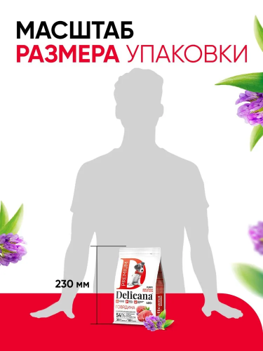 Сухой корм Delicana для собак мелких пород с говядиной 0,4 кг