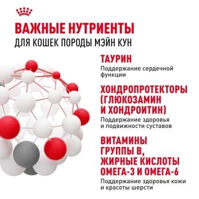 Royal Canin Консервированный корм для кошек породы Мейн Кун, кусочки в соусе, 85 г