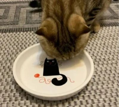 Миска Mr.Kranch керамическая  для кошек Белая с кошкой 210 мл