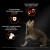 Сухой корм Purina Pro Plan Adult для взрослых кошек с лососем - 400 г Сухой корм Purina Pro Plan Adult для взрослых кошек с лососем - 400 г
