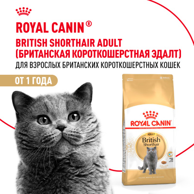 ROYAL CANIN British Shorthair Корм сухой для кошек породы Британская короткошерстная, 4 кг