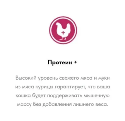 Сухой корм 1st CHOICE для кошек Sterilized, курица с бататом, 320гр