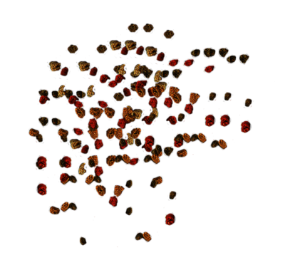 TetraMin Mini Granules Корм для всех видов мелких рыб, гранулы 250мл